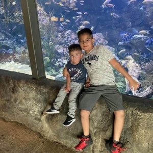 Meet your Posher, Beltran